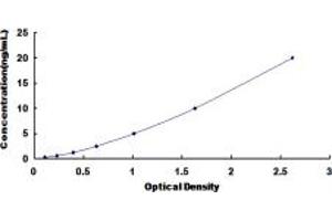 PHF8 ELISA Kit