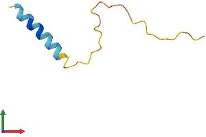 Protein Structure (PS) image for Progressive Rod-Cone Degeneration (PRCD) (AA 1-54) protein (Fc Tag) (ABIN7550957)