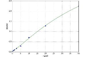 Sestrin 1 (SESN1) ELISA Kit
