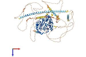 HDAC4 Protein (AA 1-1084) (His tag)