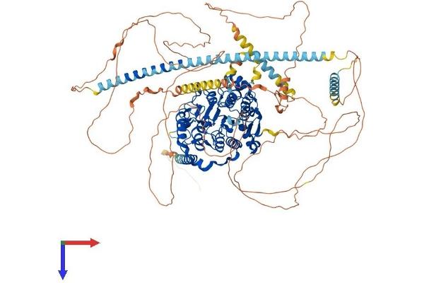 HDAC4 Protein (AA 1-1084) (His tag)