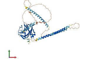 Protein Structure (PS) image for Neuronal Pentraxin Receptor (NPTXR) (AA 1-500) protein (His tag) (ABIN7549921)