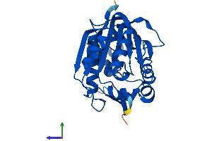 Protein Structure (PS) image for Indolethylamine N-Methyltransferase (INMT) (AA 1-263) protein (His tag) (ABIN7548580)