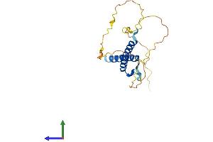Protein Structure (PS) image for Mesogenin 1 (MSGN1) (AA 1-193) protein (His tag) (ABIN7549496)