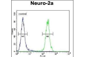 F1 Antibody (Center) (ABIN654163 and ABIN2844027) flow cytometric analysis of Neuro-2a cells (right histogram) compared to a negative control cell (left histogram). (MAF1 Antikörper  (AA 90-117))