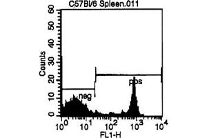 Representative Histogram - Cell Source: CD3e Positive Spleen Cells Percentage of cells stained above control: 34. (CD8 Antikörper  (FITC))