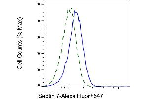 Validation of Septin 7 knockdown using flow cytometry. (Rekombinanter Septin 7 Antikörper)