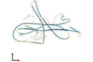 Protein Structure (PS) image for Kinectin 1 (Kinesin Receptor) (KTN1) (AA 1-1357) protein (His tag) (ABIN7554396)