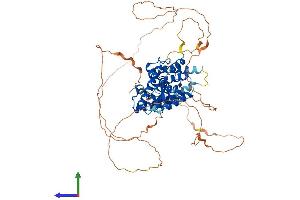 Protein Structure (PS) image for Nuclear Receptor Subfamily 4, Group A, Member 3 (NR4A3) (AA 1-627) protein (His tag) (ABIN7565165)
