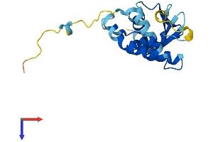 TRAPPC5 Protein (AA 1-188) (His tag)