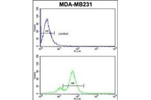 Flow Cytometry (FACS) image for anti-Activator of HSP90 ATPase Activity 1 (AHSA1) (AA 1-30), (N-Term) antibody (ABIN389425)