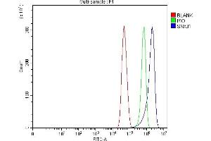 anti-Sorting Nexin 31 (SNX31) (AA 1-243) antibody