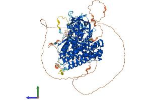 Protein Structure (PS) image for FERM, RhoGEF (ARHGEF) and Pleckstrin Domain Protein 1 (Chondrocyte-Derived) (FARP1) (AA 1-1045) protein (His tag) (ABIN7553883)