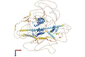 BRD4 Protein (AA 1-1400) (His tag)