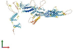 Protein Structure (PS) image for Tubulin, gamma Complex Associated Protein 5 (TUBGCP5) (AA 1-1024) protein (His tag) (ABIN7554011)