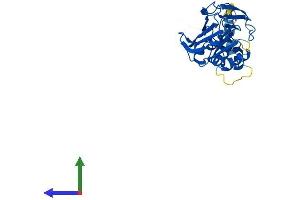 Protein Structure (PS) image for F-Box Protein 2 (FBXO2) (AA 1-296) protein (His tag) (ABIN7547671)