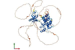 AlphaFold protein structure predicition of Human Recombinant AGAP5 Protein, UniprotID A6NIR3 (AGAP5 Protein (AA 1-686) (His tag))