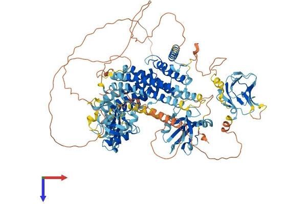 Radil Protein (AA 1-1075) (His tag)