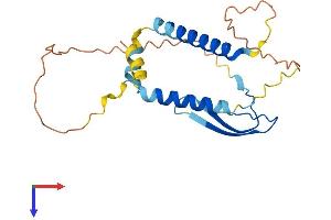 AKIP1 Protein (AA 1-212) (His tag)