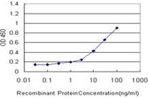 Detection limit for recombinant GST tagged FOXO3A is approximately 1ng/ml as a capture antibody. (FOXO3 Antikörper  (AA 361-460))