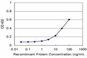 Detection limit for recombinant GST tagged TOPORS is approximately 3ng/ml as a capture antibody. (TOPORS Antikörper  (AA 98-205))