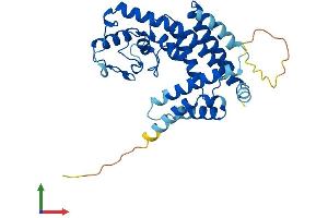 AlphaFold protein structure predicition of Human Recombinant CXorf38 Protein, UniprotID Q8TB03