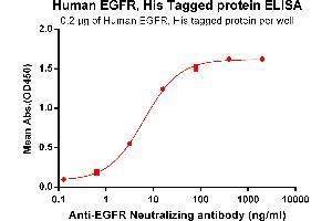 ELISA image for Epidermal Growth Factor Receptor (EGFR) (AA 25-645) protein (His tag) (ABIN6964078)