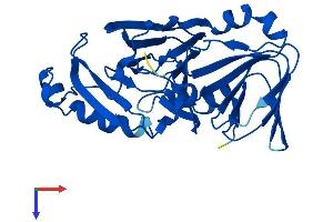 HAAO Protein (AA 1-286) (His tag)