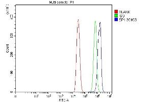 Flow Cytometry analysis of A431 cells using anti-SP1 antibody (ABIN7601559). (SP1 Antikörper  (AA 384-603))