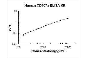 Lysosomal-Associated Membrane Protein 1 (LAMP1) ELISA Kit