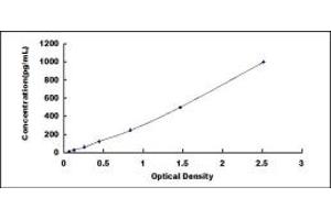 Typical standard curve (FGF21 ELISA Kit)