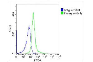Flow Cytometry (FACS) image for anti-BTB and CNC Homology 1, Basic Leucine Zipper Transcription Factor 2 (BACH2) (AA 815-841), (C-Term) antibody (ABIN654092)