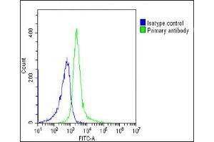 Overlay histogram showing Ramos cells stained with (ABIN654092 and ABIN2843978)(green line). (BACH2 Antikörper  (C-Term))