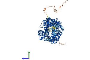 Protein Structure (PS) image for Solute Carrier Family 6 (Neurotransmitter Transporter, GABA), Member 11 (SLC6A11) (AA 1-632) protein (His tag) (ABIN7545953)