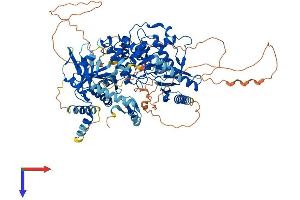 TUT1 Protein (AA 1-874) (His tag)