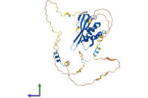 Protein Structure (PS) image for HCLS1 Binding Protein 3 (HS1BP3) (AA 1-392) protein (His tag) (ABIN7548245)