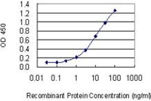 ELISA image for anti-Signal Transducing Adaptor Molecule (SH3 Domain and ITAM Motif) 1 (STAM) (AA 1-403) antibody (ABIN563522)