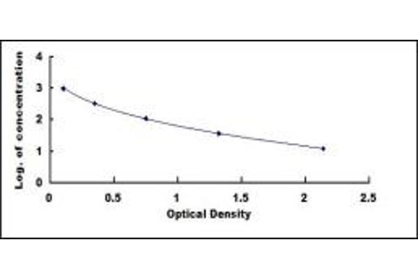 Orexin A ELISA Kit