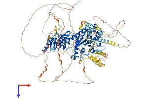 SEC23IP Protein (AA 1-1000) (His tag)