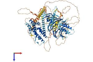 ARHGEF10L Protein (AA 1-1279) (His tag)