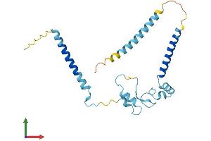 Protein Structure (PS) image for Retinitis Pigmentosa 9 (Autosomal Dominant) (RP9) (AA 1-213) protein (His tag) (ABIN7556824)