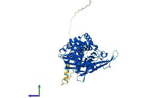 AlphaFold protein structure predicition of Human Recombinant FOXRED1 Protein, UniprotID Q96CU9