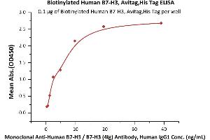 Immobilized Biotinylated Human B7-H3, Avitag,His Tag (ABIN5674582,ABIN6253693) at 1 μg/mL (100 μL/well) on Streptavidin  precoated (0.