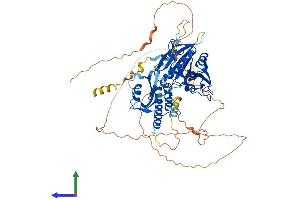 AlphaFold protein structure predicition of Human Recombinant RAP1GAP Protein, UniprotID P47736