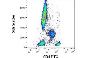 Flow cytometry surface staining pattern of human peripheral whole blood stained using anti-human CD4 (MEM-241) FITC (20 μL reagent / 100 μL of peripheral whole blood). (CD4 Antikörper  (N-Term) (FITC))