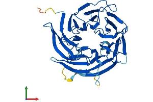 Protein Structure (PS) image for DDB1 and CUL4 Associated Factor 7 (DCAF7) (AA 1-342) protein (His tag) (ABIN7547031)
