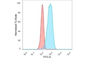 Flow Cytometric Analysis of PFA-fixed HeLa cells. (CELF2 Antikörper)