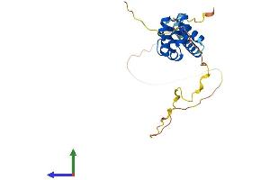 AlphaFold protein structure predicition of Mouse Recombinant Bcl10 Protein, UniprotID Q9Z0H7 (BCL10 Protein (AA 1-233) (His tag))