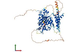 Protein Structure (PS) image for HSPB (Heat Shock 27kDa) Associated Protein 1 (HSPBAP1) (AA 1-488) protein (His tag) (ABIN7548201)