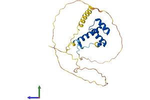 Protein Structure (PS) image for Homeobox A7 (HOXA7) (AA 1-229) protein (His tag) (ABIN7562728)